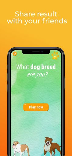What dog breed are you? Person - Screenshot 4