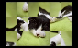 Adorable Cat Puzzles - Screenshot 1