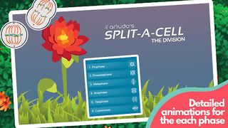 Split A Cell - Screenshot 3