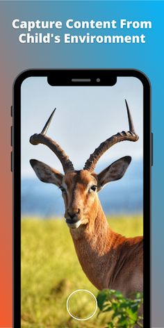 alphaTUB - Screenshot 1