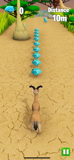 The Animal Run - Screenshot 1