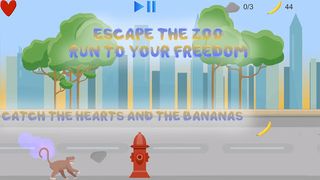 Zoo Escape - Screenshot 1
