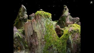 Samorost 1 - Screenshot 3
