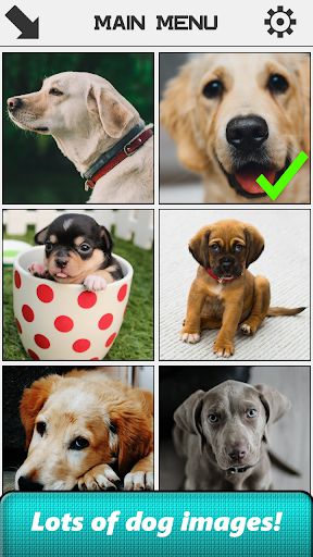 Dog Slide Puzzle - Screenshot 2