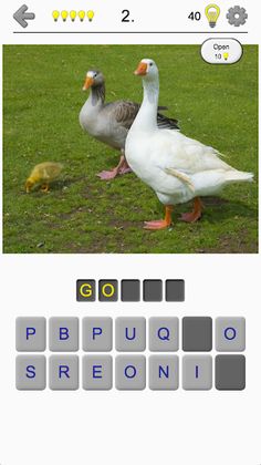 Bird World - Famous Birds Quiz - Screenshot 1