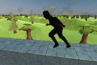 Ninja Run 3D - Screenshot 2