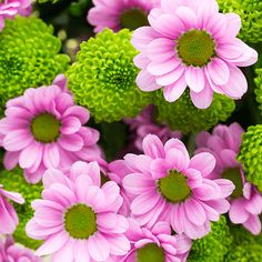 HD Jigsaw Puzzle Game - Screenshot 2