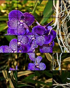 Quebra-Cabeça de Flores - Screenshot 3