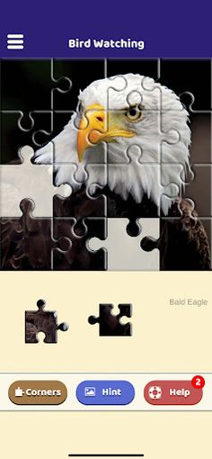 Bird Watching Puzzle - Screenshot 2