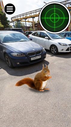 Stray Animals. Real Catch Game - Screenshot 2