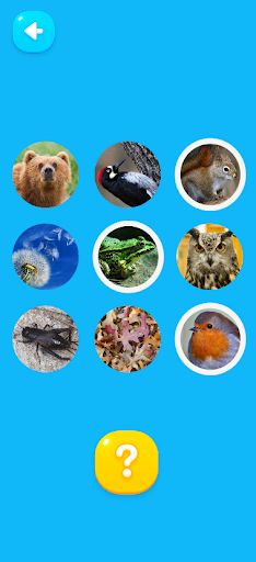 Sound Bingo - Screenshot 3