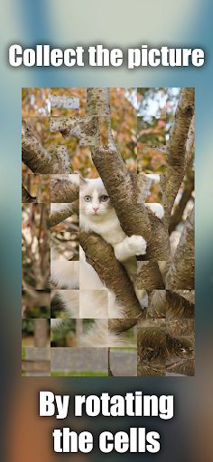 Collect the picture - Mosaic - Screenshot 1