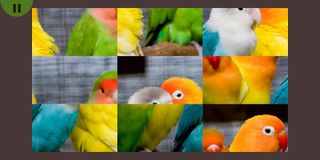 Cute Pets Puzzle - Screenshot 2