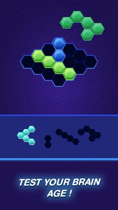 Hexa Puzzle Fun Block Puzzle - Screenshot 4