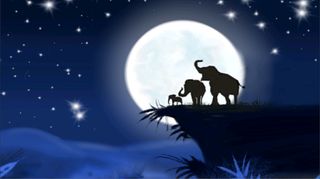 Miniwalla the forest story - Screenshot 2