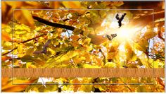 Squirrel Run Flying - Screenshot 4