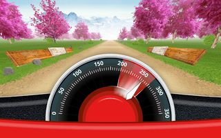 CRAZY DRIVER - Screenshot 1