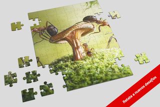 Puzzle Hormigas 🧩🐜 - Screenshot 3