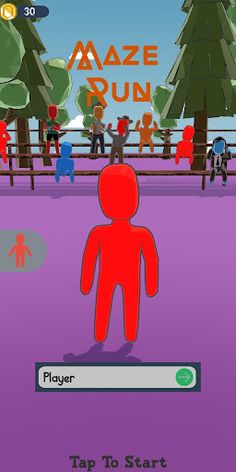 Maze Run - Screenshot 1