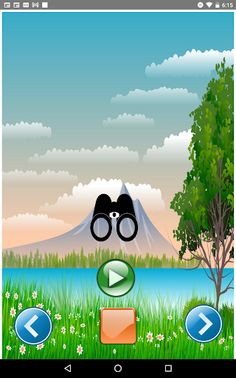 Bird Watcher Game - Screenshot 3