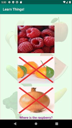 Learn Things! - Screenshot 3