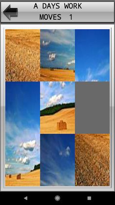 Shuffle 'n Slide Pro - Screenshot 2