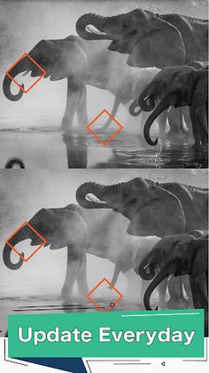 Hunt Differences: Seek & Spot - Screenshot 3