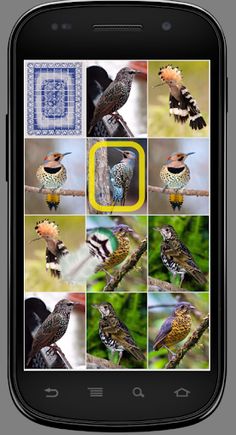 Игра на память. Птицы. 6+ - Screenshot 4