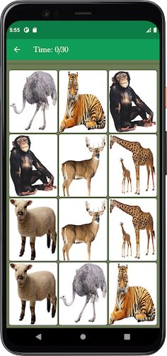 Animal Memory Matching Game - Screenshot 3