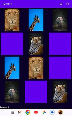 MichMatch: The Secret Journey - Screenshot 4