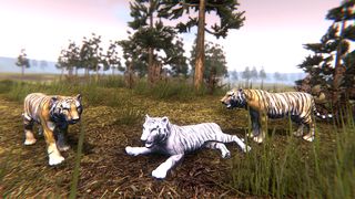 Wild Tiger Hunting Animal Life - Screenshot 2