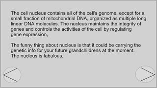 Extra Class 1 - Screenshot 3