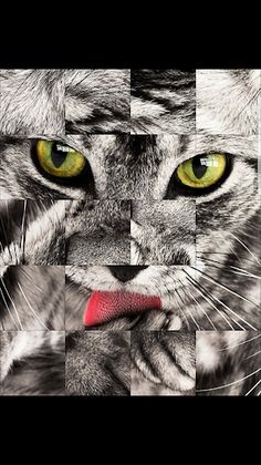 Pet World Puzzle : Animal Cros - Screenshot 4