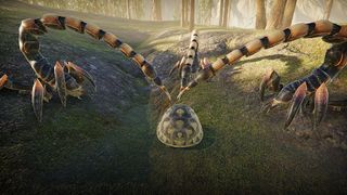Turtle Life: Wild Survival Sim - Screenshot 2