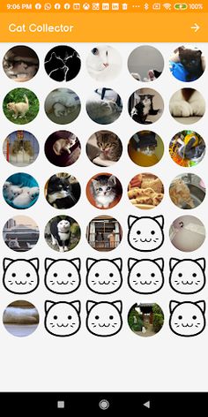 Cat Collector - Screenshot 3