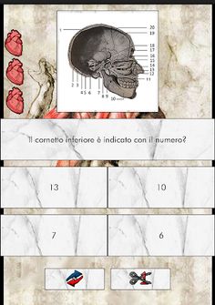 L'Anatomista il quiz Italiano  - Screenshot 4