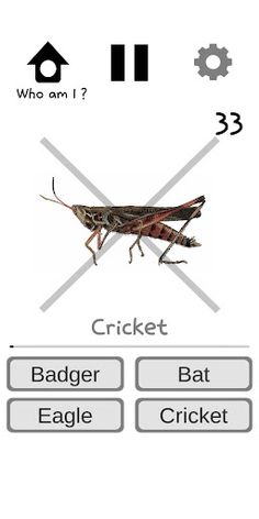 Awesome Quiz - Screenshot 4