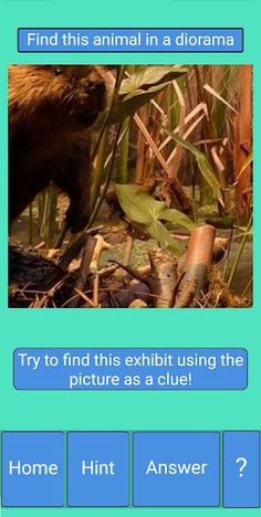 PA State Museum Hall of Mammal - Screenshot 2