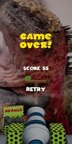 Iguana Shooting Ball - Screenshot 1