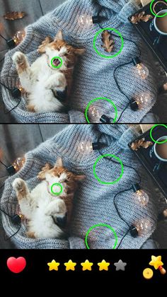 Difference game, spot them all - Screenshot 2