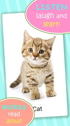 Babyloonz Animal Friends - Screenshot 2