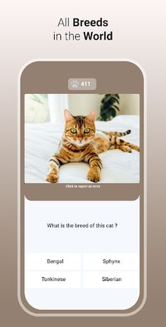 Quiz Cat - Guess the Cat Breed - Screenshot 3