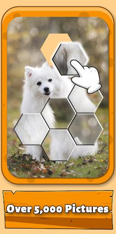 Jigsorting Relax Puzzle - Screenshot 3