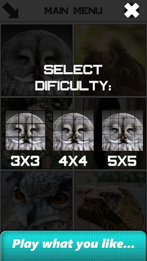 Owl Slide Puzzle - Screenshot 3