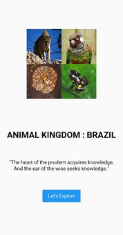 Animal Kingdom : Brazil (Quiz/ - Screenshot 1