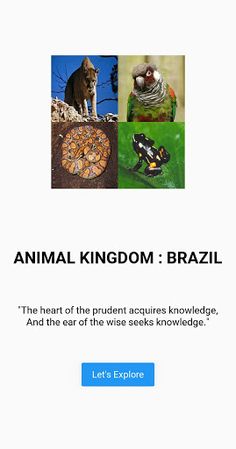 Animal Kingdom : Brazil (Quiz/ - Screenshot 1