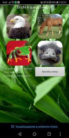 ZooDroid - Screenshot 1