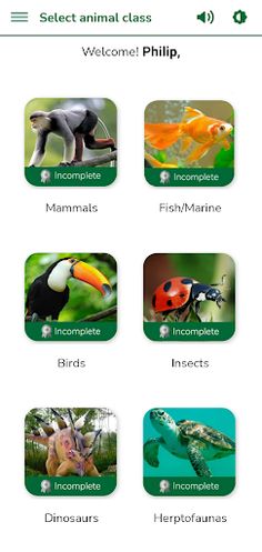 Animal Game - Screenshot 1