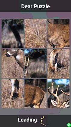 Dear Puzzle - Screenshot 2