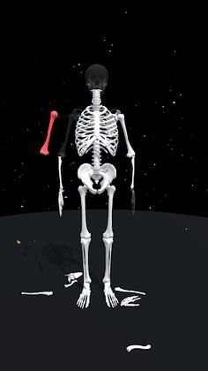 Assemble Skeleton - Screenshot 1